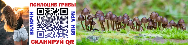 Псилоцибиновые грибы Psilocybe  Острогожск 